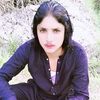 zaher.khan532