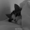 verraa.vroom
