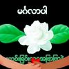 u.shwe581