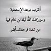 user2861043696150