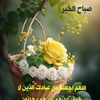 user5998784069572