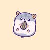 New Hamster