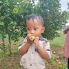 roki0579