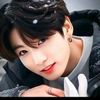 user1331701601202