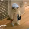 user1317440213836