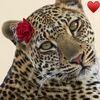 kristina.jaafar2
