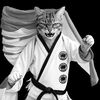 Kucing Mujair