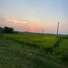 anhtunlcng