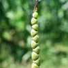 biseks11