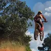 paulaoliveira601