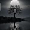 muhamadnaseer90