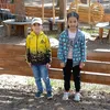 fertimajos3