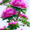 lutfun.nahar18