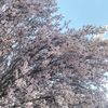 nazok_zhan_