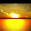 vahid.allahverdiy0