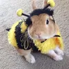 beeurbae.14