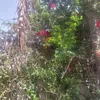 hassan.fihri