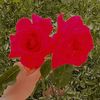user8120110203628