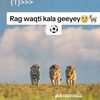 cabdisalan.yuusuf4