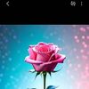 amiish.hussein
