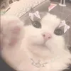 cutecoreangel0