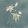 lunarliterature0