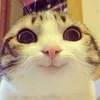 Memeichis