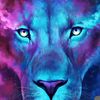 maofish1_2