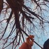 toula.hl