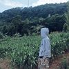 fllow.gua.flback
