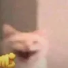 batatasigmaskibidirizz
