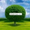 alkhader.cisse
