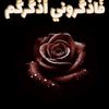 user6036681414388