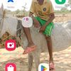 user4217983370527