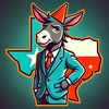 The Dumb Texas Dem