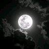 40xf9o6f4