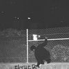 elie