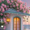 rose.petal428
