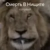smertvnishetezvonit