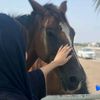 qimar_444