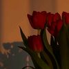 💐⚘️🌷