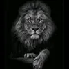 felipe.lopes0356