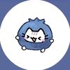 main_acc110