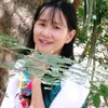 hongnhu.travinh