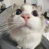 bunny67877