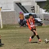 lushooos