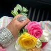 borsha.....6