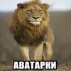 erqery