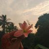 ijma.khanom