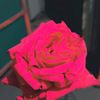 user6991101201617